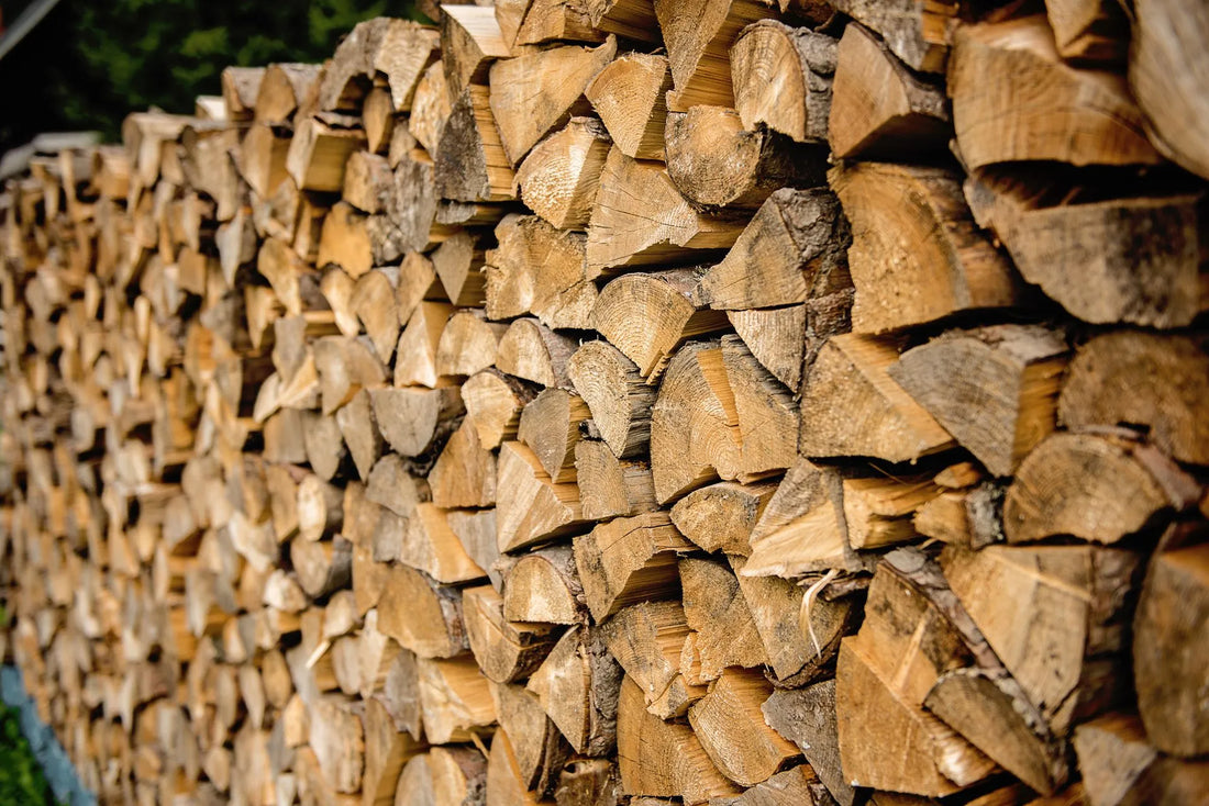 The Best Types of Firewood for Long-lasting Heat