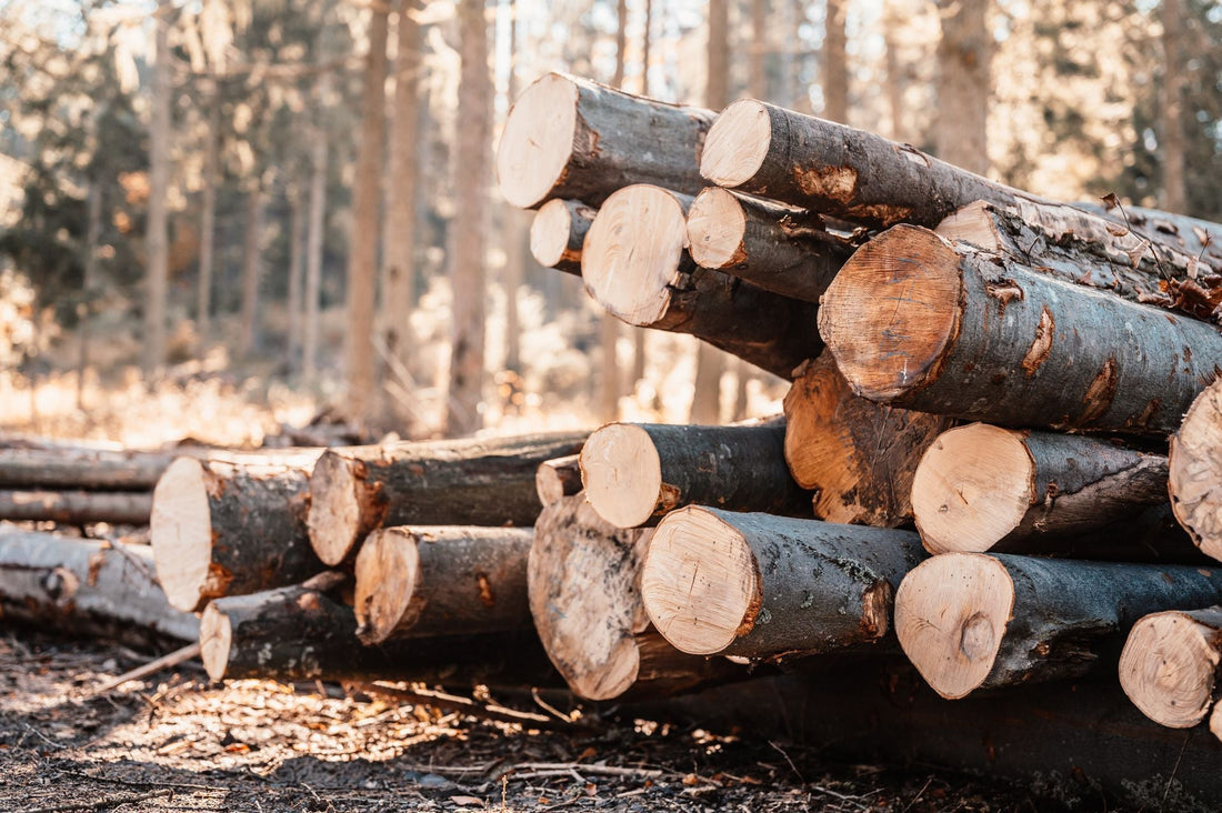 Choosing the Right Lumber Yard for Your Next Big Project