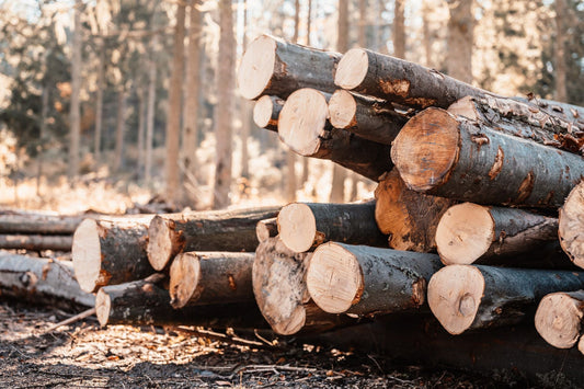 Choosing the Right Lumber Yard for Your Next Big Project