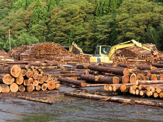 The Advantages of Using Rough Sawn Lumber for Outdoor Projects